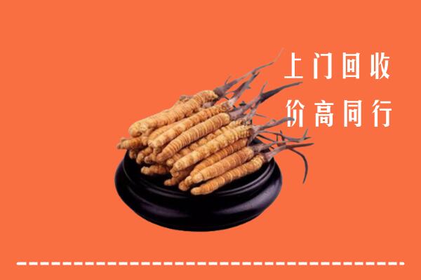 高价求购：容城县回收散虫草