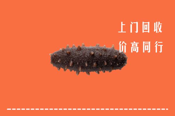 容城县回收海参