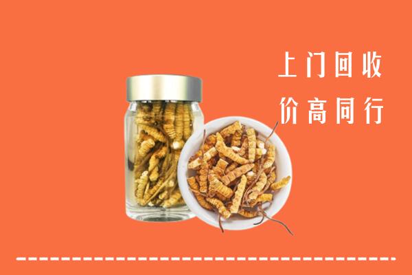 容城县回收冬虫夏草