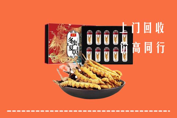 容城县回收虫草